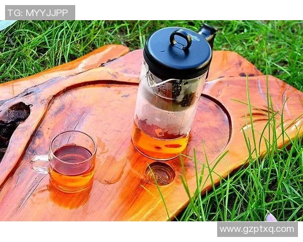 飘逸杯：摩登品味，唤醒生活的美好