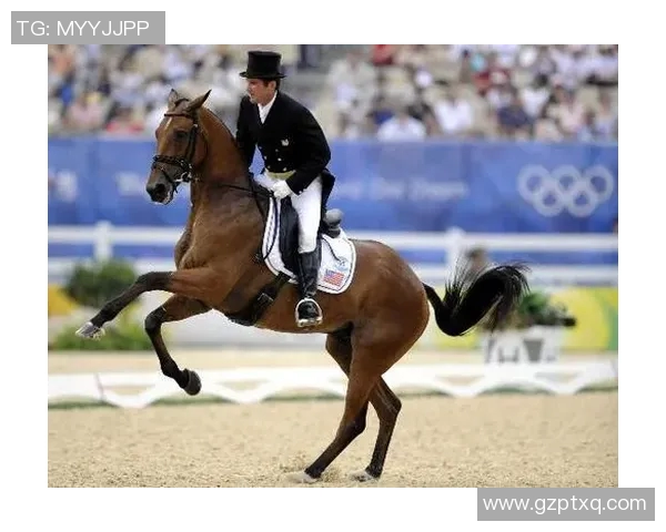 马术盛装舞步赛评分标准解析与评判要素详解